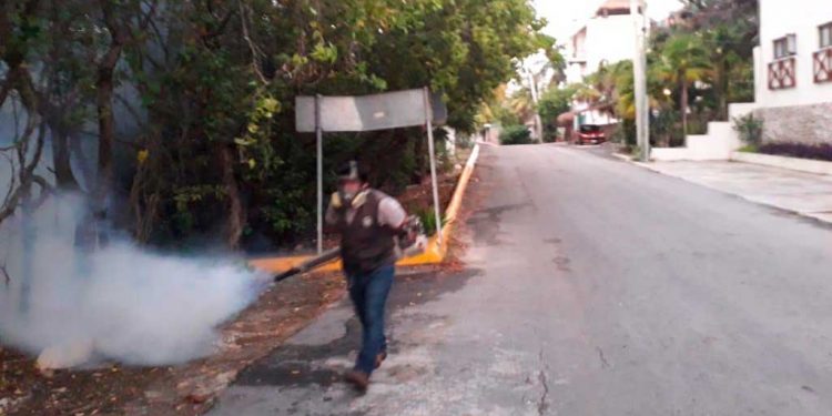 Se intensifica el combate contra el mosco transmisor del dengue en Isla Mujeres