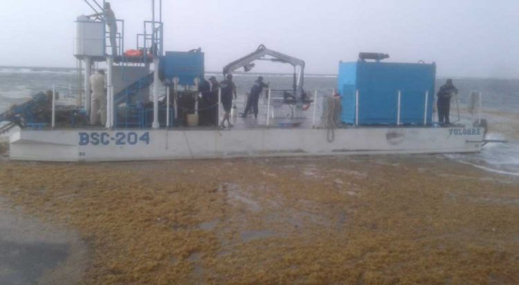 Más de 5 mil toneladas de sargazo se han levantado de las playas