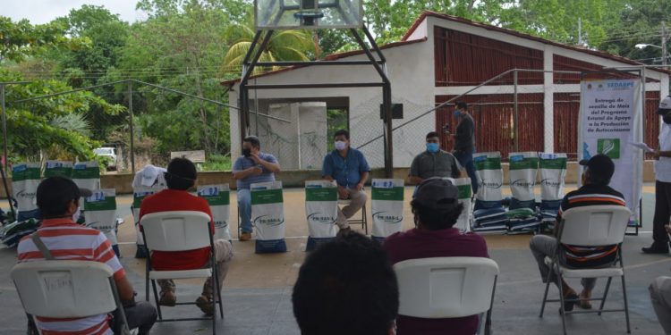 Entregan mil 298 bolsas de maíz espequero a productores del sur del Estado