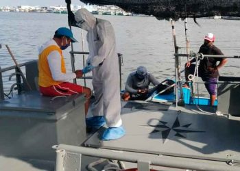 Rescatan a tres pescadores de Yucatán a 22 millas de progreso Yucatán