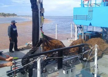 De mayo a julio se han levantado de las playas más de 800 toneladas de sargazo en Quintana Roo