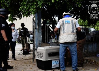 Desmantelan narcocasa en Chetumal