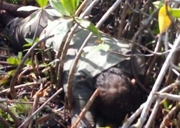 Encuentran a capitán muerto en el mangle; perdió la vida por recuperar un dron