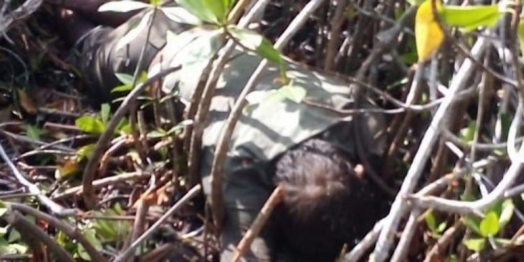 Encuentran a capitán muerto en el mangle; perdió la vida por recuperar un dron