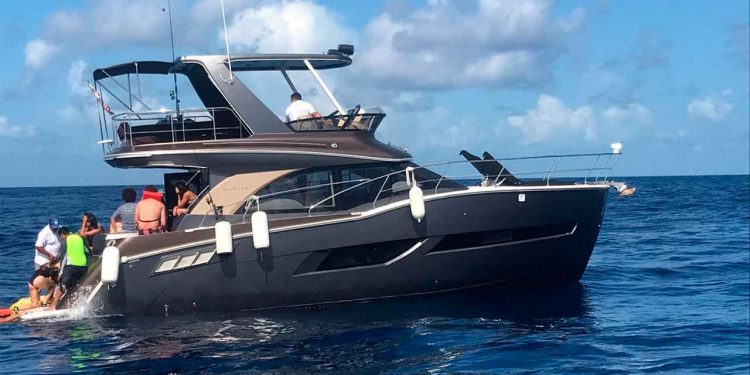 Denuncian a embarcaciones que sin permiso que ingresan a la zona del Tiburón Ballena