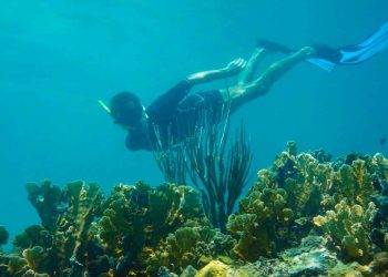 Pescadores podrían dejar bucear por secuelas del Covid-19