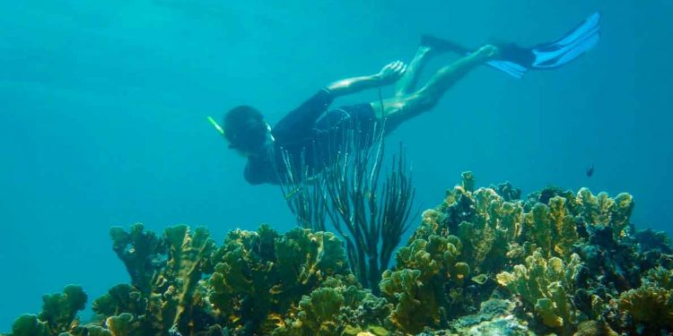 Pescadores podrían dejar bucear por secuelas del Covid-19