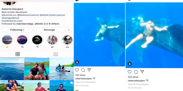 Denuncian a empresario de Cancún por maltrato al Tiburón Ballena