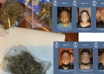 Cae banda dedicada a la trata de personas con fines de explotación sexual en Solidaridad