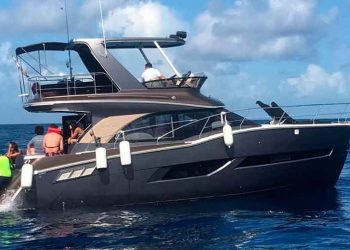 Embarcación Shark ya está boletinada y no podrá entrar a la zona del Tiburón Ballena