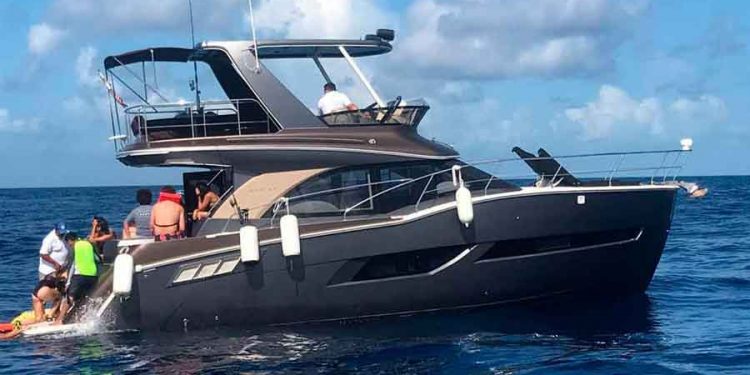 Embarcación Shark ya está boletinada y no podrá entrar a la zona del Tiburón Ballena