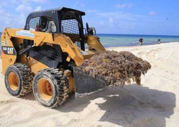 Presume Playa del Carmen playas libres de sargazo