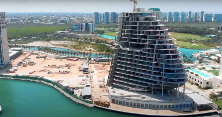 Embarcación Shark ya está boletinada y no podrá entrar a la zona del Tiburón Ballena