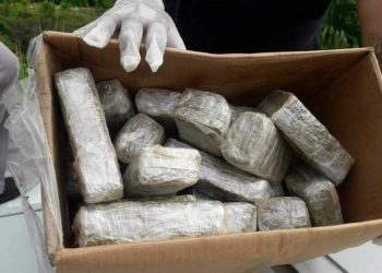 Detienen a tres oficiales de Belice por tráfico de marihuana