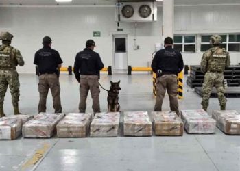 En Manzanillo la Marina decomisó 678 kilogramos de cocaína