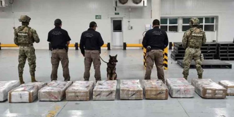 En Manzanillo la Marina decomisó 678 kilogramos de cocaína