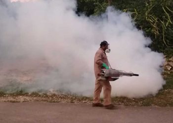 La lucha por combatir al dengue se extiende hasta Francisco May