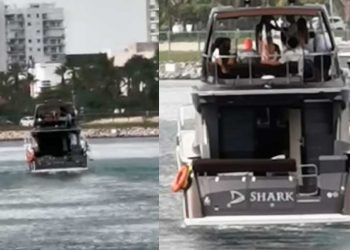 Impunidad a la vista! Náuticos siguen esperando sanciones de Profepa y Capitanía para el Shark