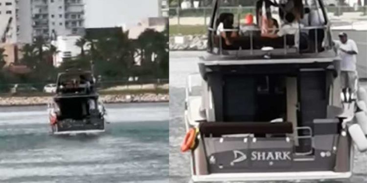 Impunidad a la vista! Náuticos siguen esperando sanciones de Profepa y Capitanía para el Shark