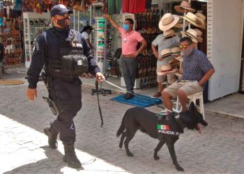 Redoblan seguridad en zonas turísticas de Playa del Carmen