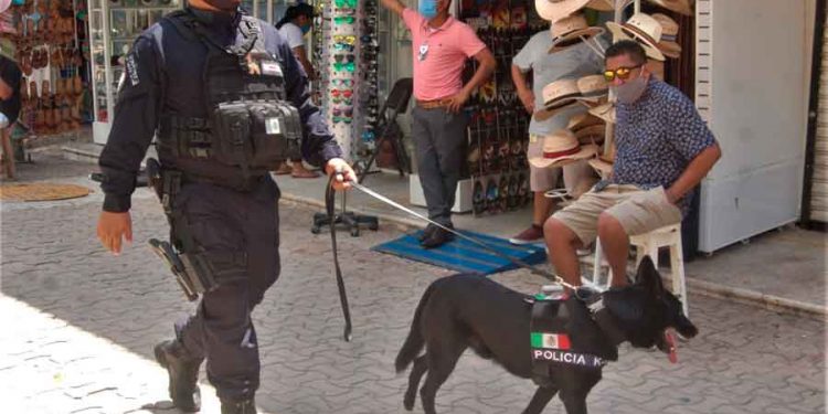 Redoblan seguridad en zonas turísticas de Playa del Carmen