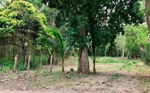 Joven escapa por la puerta falsa durante esta madrugada en Chetumal