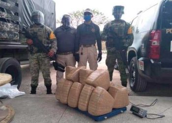 Aseguran 500 kilogramos de marihuana que tenían como destino Chetumal