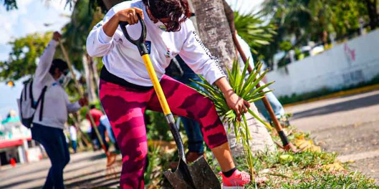 Fomentan en Isla Mujeres el cuidado ambiental