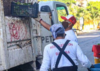 Continúan los trabajos de recoja de basura en Isla Mujeres y zona continental