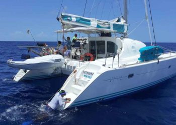 Ahora un catamarán se mete a la zona de avistamiento del Tiburón Ballena