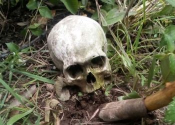 Siguen apareciendo restos humanos en Cancún