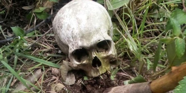 Siguen apareciendo restos humanos en Cancún