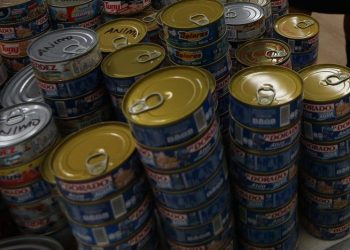 Encuentran carne de delfín en latas de atún vendidas en México