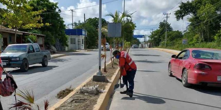 Realiza Ayuntamiento de Isla Mujeres acciones de limpieza en Zona Continental