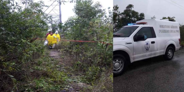 Sin poder identificar la osamenta que encontraron en Majahual