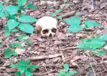 Encuentran osamenta en alcaldía de Chunhuhub