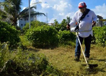 Continúan los trabajos de conservación y mantenimiento de parques en Isla Mujeres
