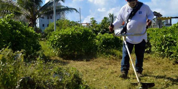 Continúan los trabajos de conservación y mantenimiento de parques en Isla Mujeres