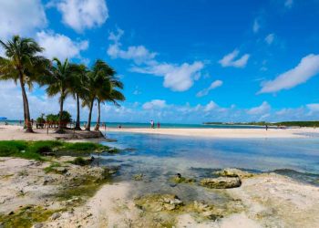 En Playa del Carmen extenderán la reapertura de playas