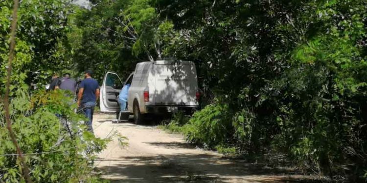 Aparece cuerpo putrefacto cerca de la comunidad Luis Echeverría en Chetumal