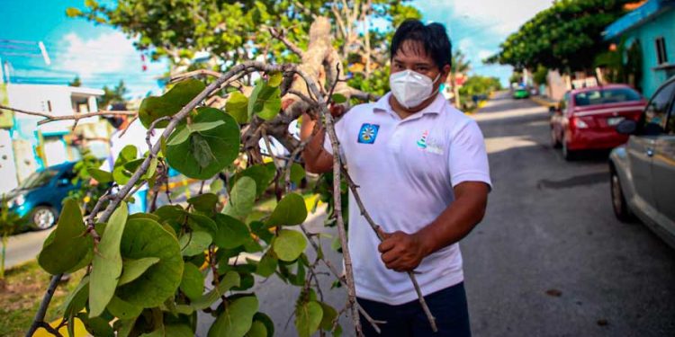 Isla Mujeres Verde y Saludable, un compromiso de la actual administración