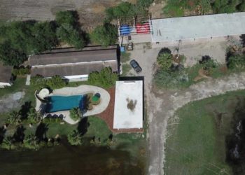 Aseguran ‘narco rancho’ con caballos finos y aves exóticas