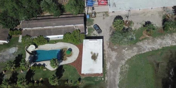 Aseguran ‘narco rancho’ con caballos finos y aves exóticas