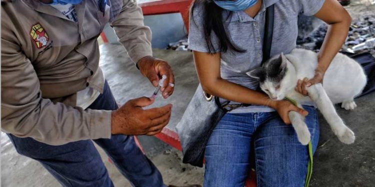 Continúa jornada de vacunación en Isla Mujeres