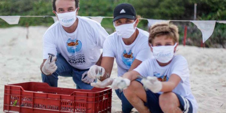 Pese al Covid-19, en Cozumel se fomenta la cultura de respeto hacia la flora y fauna: Pedro Joaquín