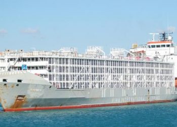 Se hunde barco con 42 tripulantes y mas de 5 mil cabezas de ganado en Japón