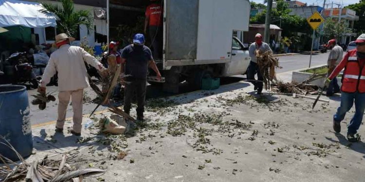 Continúan los trabajos de mantenimiento en Parques y Jardines de Isla Mujeres