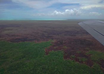 Conflagración en la Reserva de la Biosfera Sian Ka’an extinta al 100%