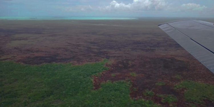 Conflagración en la Reserva de la Biosfera Sian Ka’an extinta al 100%