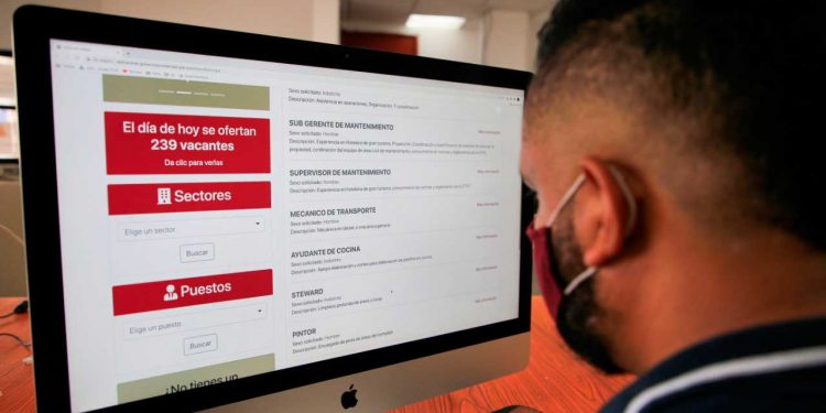 Ayuntamiento de Solidaridad presenta Bolsa Digital del Empleo